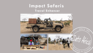 Impact safaris for conscious travelers