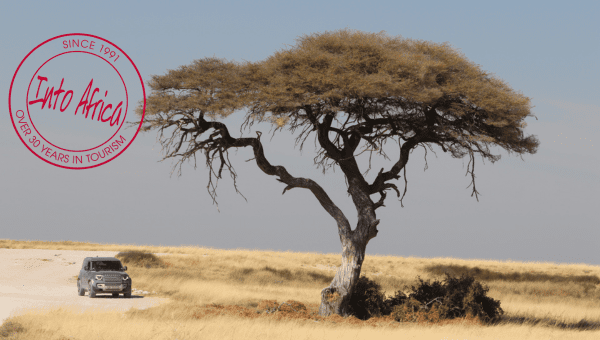 Road Tripping Namibia