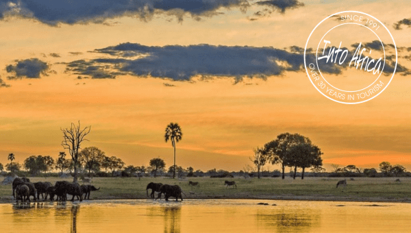 Exploring Botswana on a Budget