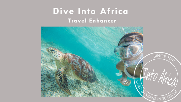 Dive Into Africa