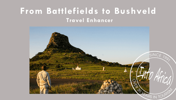 From Battlefields to Bushveld